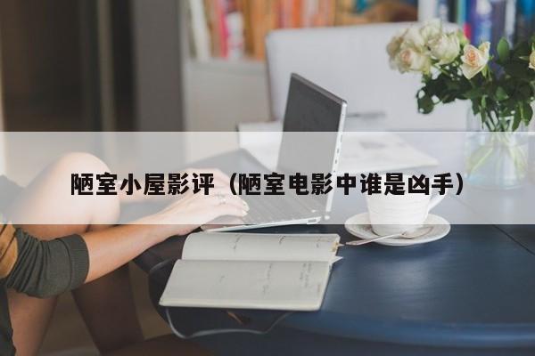 陋室小屋影评（陋室电影中谁是凶手）