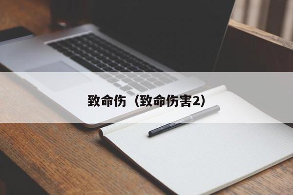 致命伤（致命伤害2）