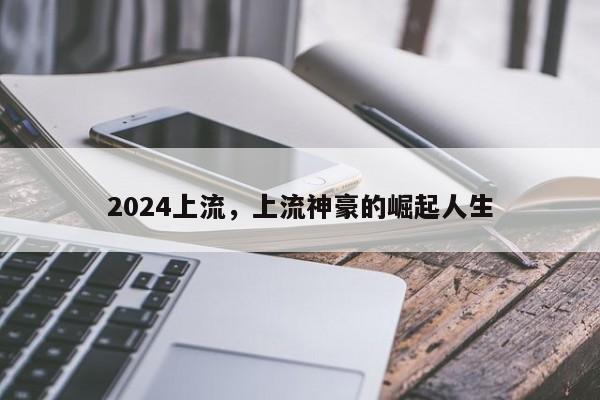2024上流，上流神豪的崛起人生