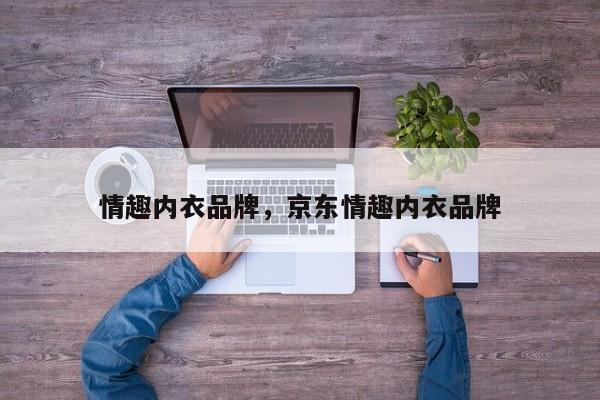 情趣内衣品牌，京东情趣内衣品牌