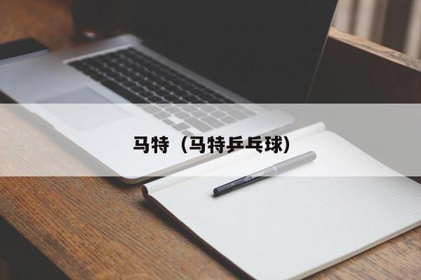 马特（马特乒乓球）