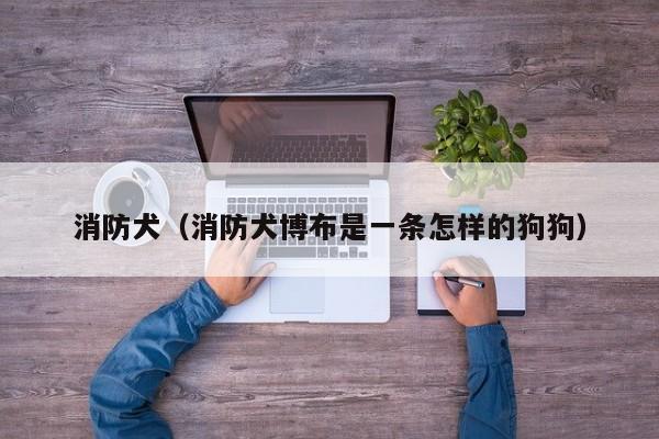消防犬（消防犬博布是一条怎样的狗狗）