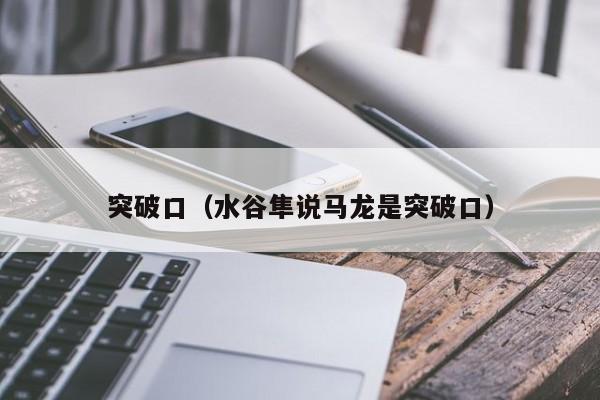 突破口（水谷隼说马龙是突破口）