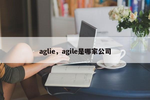 aglie，agile是哪家公司