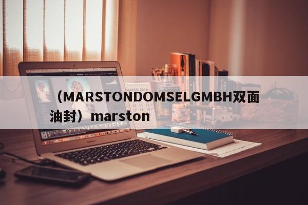 （MARSTONDOMSELGMBH双面油封）marston