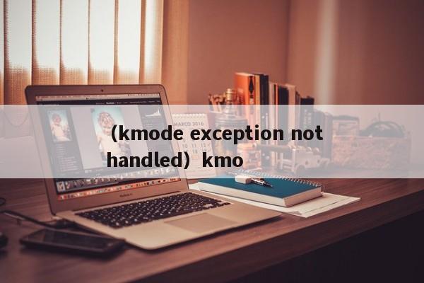 （kmode exception not handled）kmo