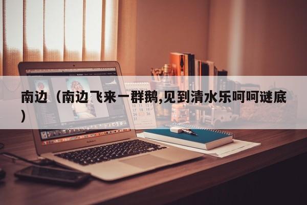 南边（南边飞来一群鹅,见到清水乐呵呵谜底）