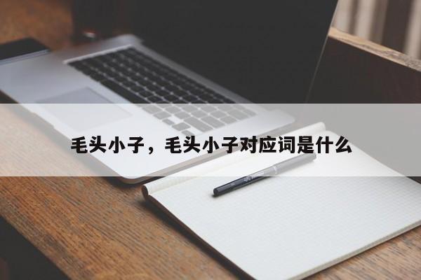 毛头小子，毛头小子对应词是什么