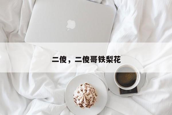 二傻，二傻哥铁梨花