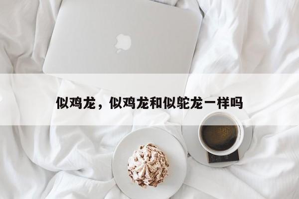 似鸡龙，似鸡龙和似鸵龙一样吗