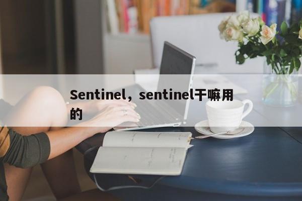 Sentinel，sentinel干嘛用的