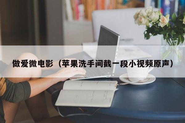 做爱微电影（苹果洗手间截一段小视频原声）