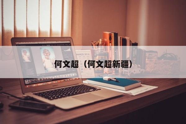 何文超（何文超新疆）