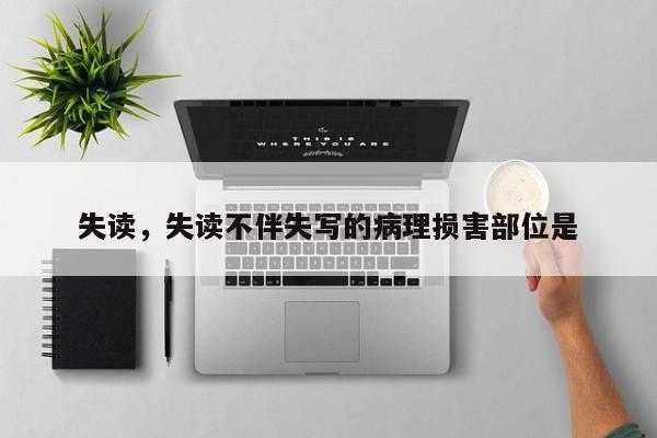 失读，失读不伴失写的病理损害部位是